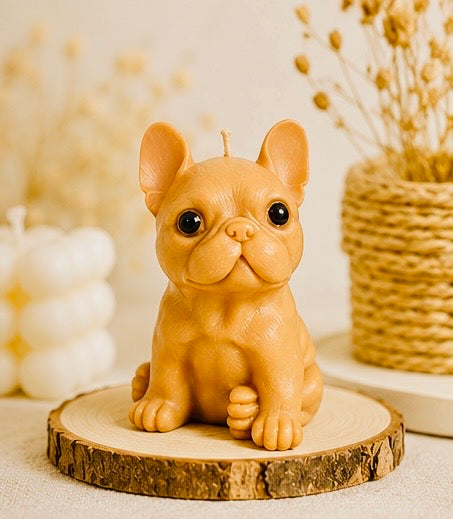 Hunde Kerze