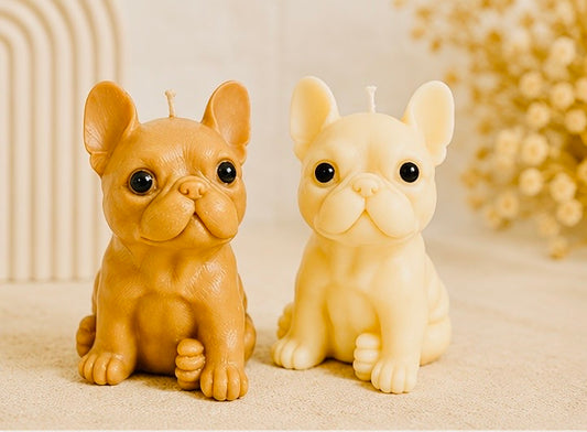 Hunde Kerze