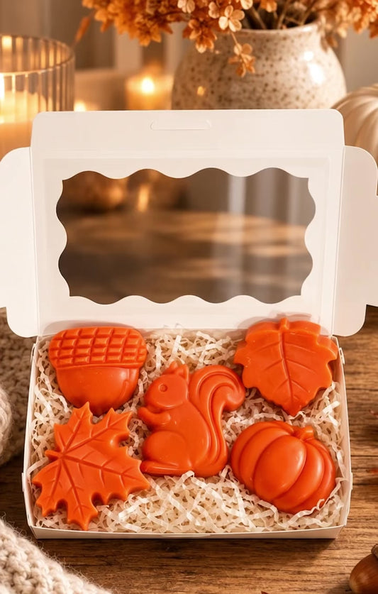 Autumn Wax Melts Gift Set-Soy Wax Melts-Pumpkin Spice-Herbst Wax Melts-Duftwachs-Herbstduf